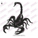 Black Scorpion Embroidery Design 03